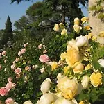 アパートホテル Torre Almonte トーディ