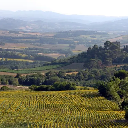 Torre Almonte トーディ