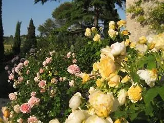 Apart-hotel Torre Almonte Todi