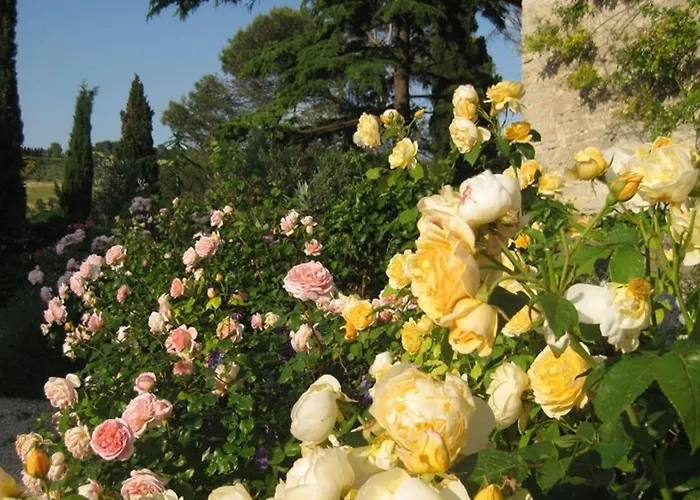 Torre Almonte Apart-hotel 2*